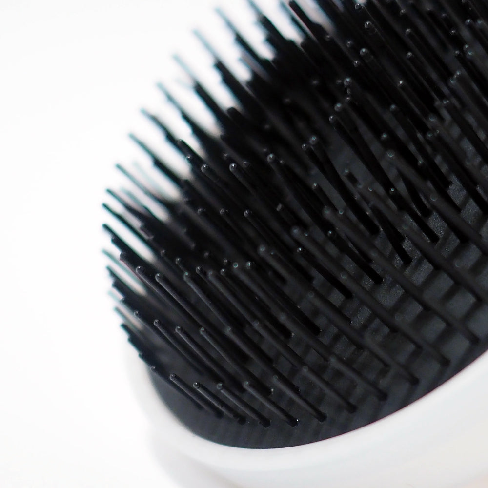 CRAZY POUSS - Brosse soin - Noir et blanc