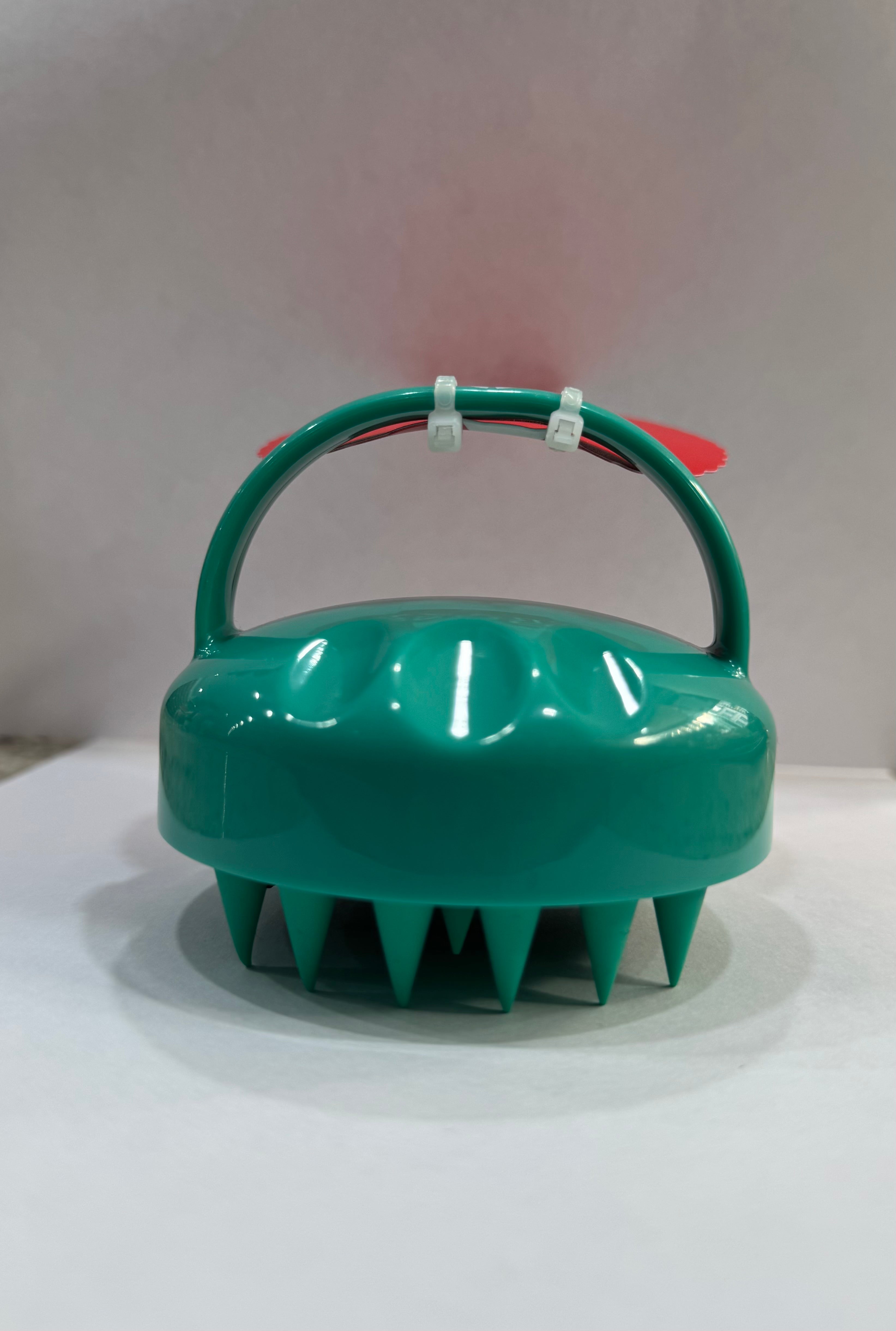 CRAZY POUSS Brosse massage