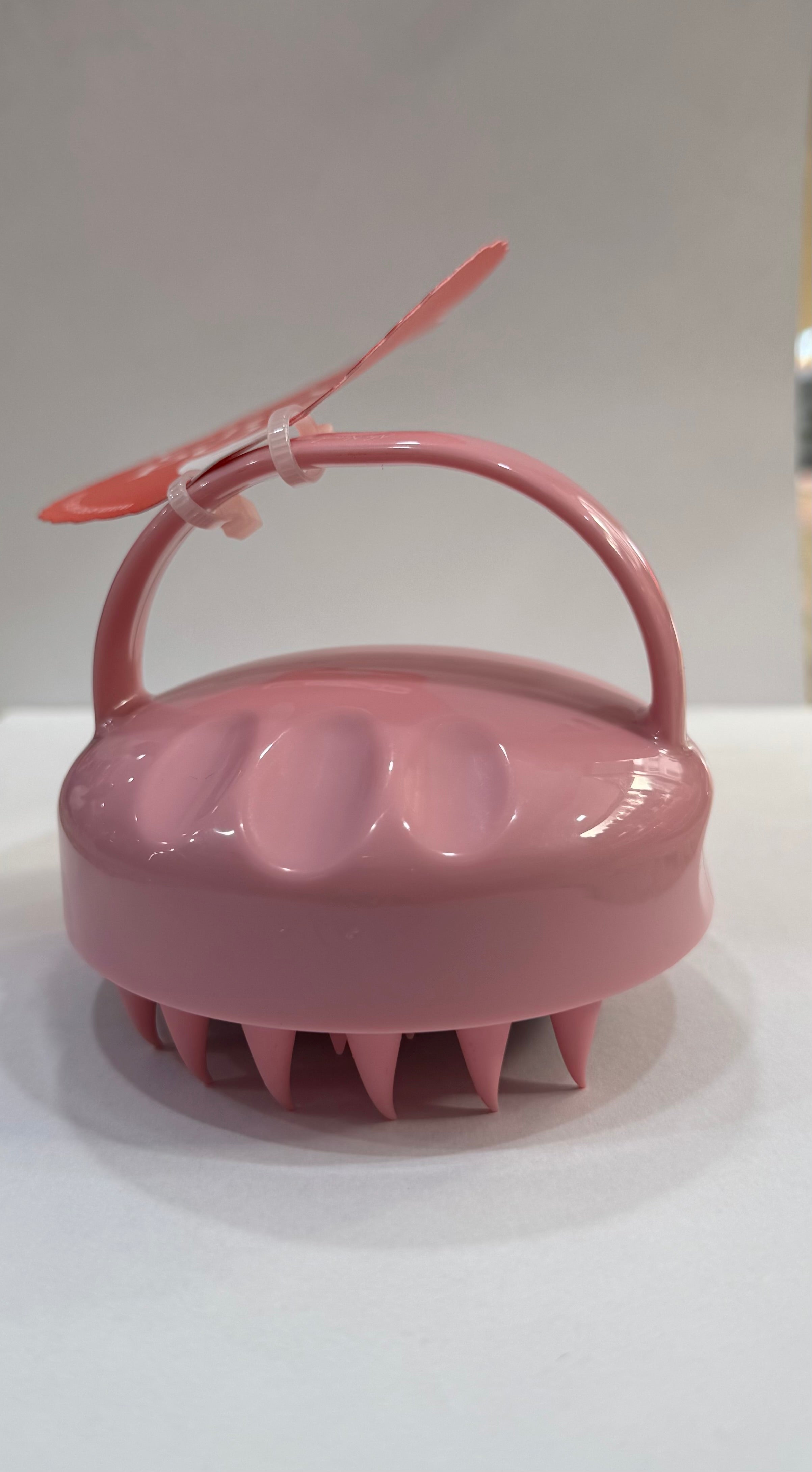 CRAZY POUSS Brosse massage